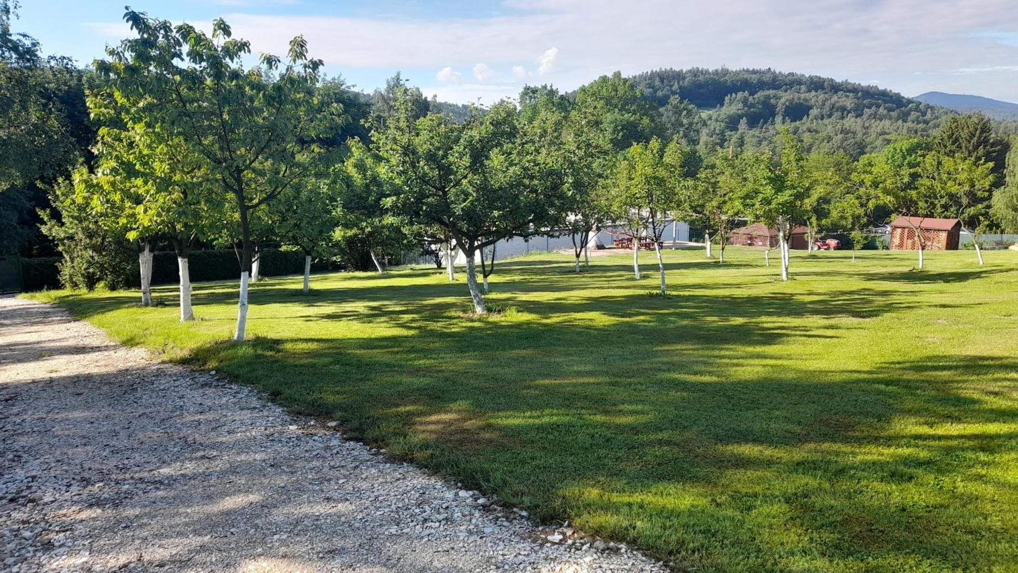 Orzechowka Lądek-Zdrój Esterno foto